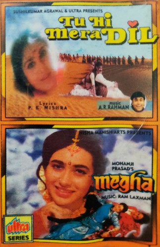 Tu Hi Mera Dil/Megha