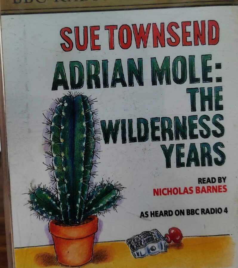 Sue Townsend - Ardrian Mole : The Wildness Years (2 Cassette Audio Book)