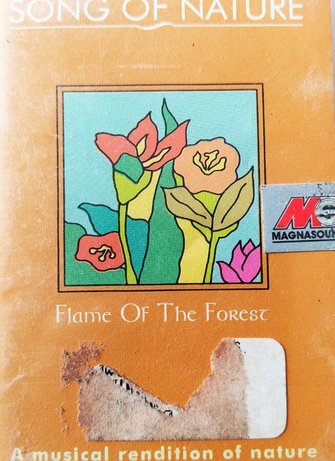 Song of Nature - Flame of the Forest : A Musical Rendition of Nature (Instrumental)