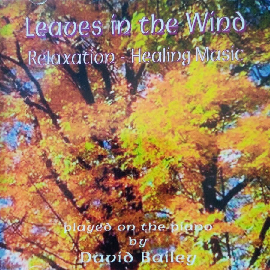 Leaves in the Wind : Realaxation - Healing Music on Piano by David Bailey